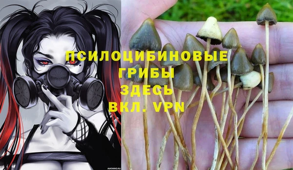 дживик Алексеевка