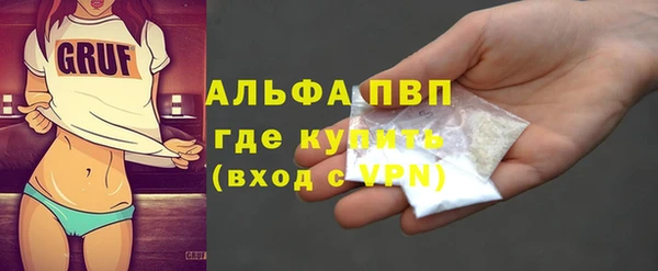 мет Алексин