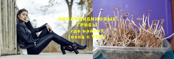таблы Алзамай