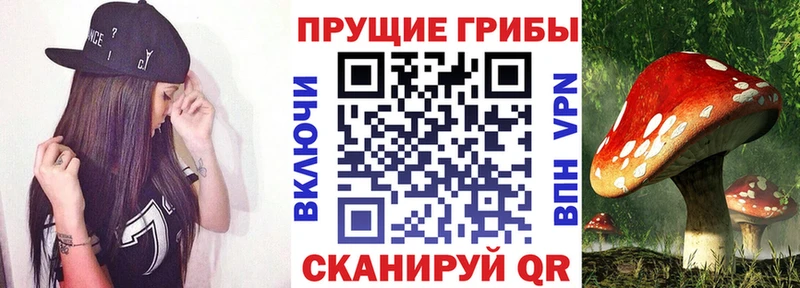 Галлюциногенные грибы Psilocybe  blacksprut ССЫЛКА  Полевской 